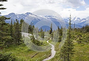 Alaska`s Summer Trails