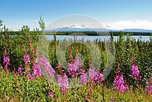 Alaska Scenery photo