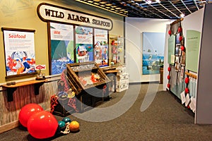 Alaska Sea Life Center Children's Education Area