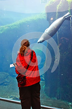 Alaska - Sea Life Center Friends