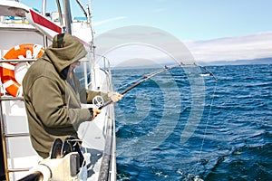 Alaska - Senior Man Fishing Reeling in Halibut