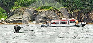 Alaska - Small Boat, Whale Tail