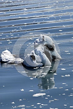 ALASKA/USA _GLACIER BAY_MOUNTIANS