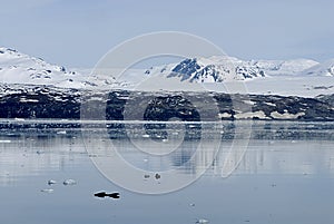 ALASKA/USA _GLACIER BAY_MOUNTIANS IN USA