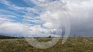 Alaskan Apline meadow in bloom with thunderstorm approaching