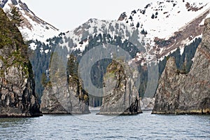 Alaskan fjord