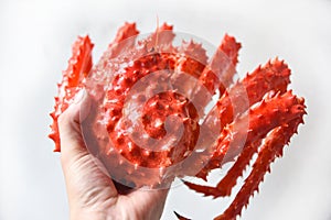 Alaskan King Crab Cooked steam or Boiled seafood holding in hand / Red crab hokkaido
