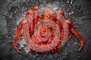 Alaskan King Crab Cooked steam or Boiled seafood with ice on dark background / Red crab hokkaido
