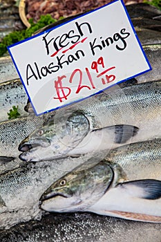 Alaskan King Salmon for Sale in Fishmongers or fish market