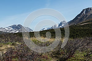 Alaskan Landscape photo