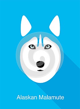 Alaskan Malamute, dog face flat icon design, vector illustration