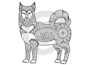 Alaskan malamute dog line art design for tattoo, t shirt design, coloring book for adult and so on - stock
