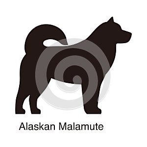 Alaskan Malamute dog silhouette, side view, vector illustration