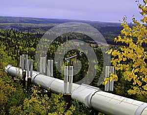 Alaskan oil pipeline