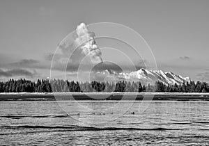 Alaskan river in black and white with ducks