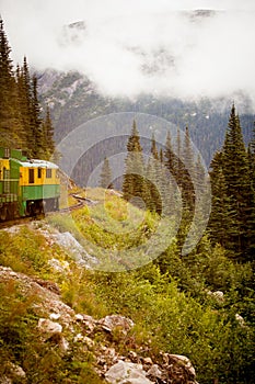 Alaskan train excursion