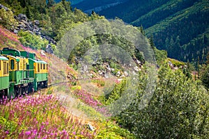 Alaskan train excursion