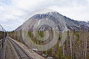 Alaskan Wilderness photo