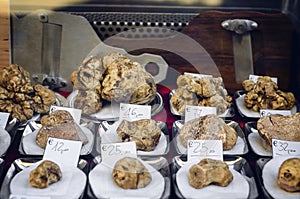 Alba white truffles at the Fiera del Tartufo