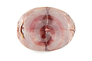 Albacore or thunnus alalunga or longfin tuna raw fish steak isolated on white. Transparent png additional format photo