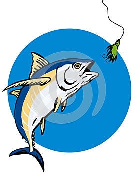 Albacore Tuna taking the bait