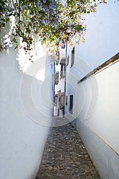 Albaicin of Granada arabic district in Spain