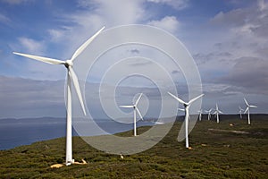 Albany Wind Farm