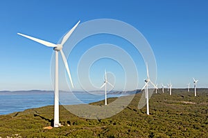 Albany Wind Farm