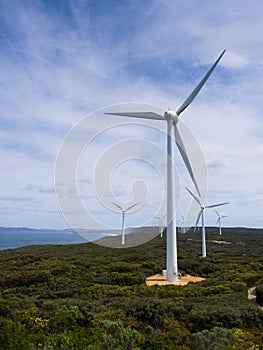 Albany Wind Farm @ WA, Australia