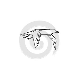 albatross icon.Element of popular sea animals icon. Premium quality graphic design. Signs, symbols collection icon for websites, w