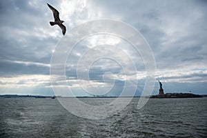 Albatross and the Statue of Liberty. New York City, NY, U.S.