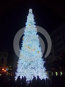 ALBERO DI NATALE, SALERNO, SUD ITALIA. photo