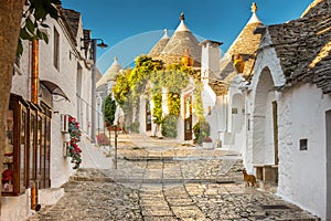 Alberobello Trulli, Puglia, Apulia, Italy