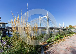 Albert Bridge near Battersea Park in London