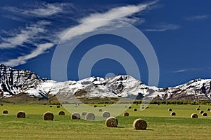 Alberta countryside