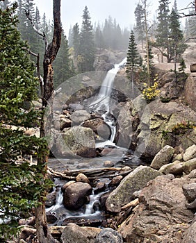 Alberta Falls in Rocky Mountain National Park