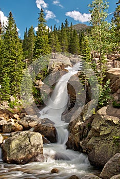 Alberta Falls in Rocky Mountain National Park