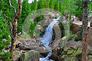 Alberta Falls in Rocky Mountain National Park