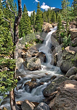 Alberta Falls in Rocky Mountain National Park