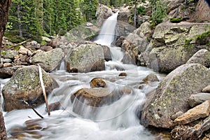 Alberta Falls in Rocky Mountain National Park photo