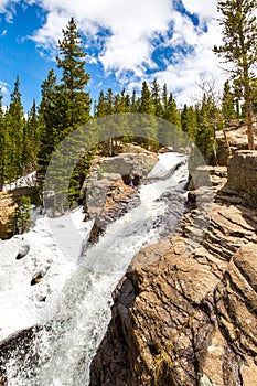 Alberta Falls in spring