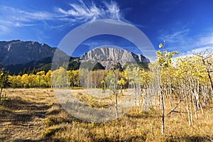 Alberta Foothills Autumn Landscape