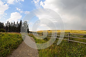 Alberta Ranch pathway with a rain cloud blowing into the blue sky