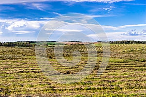 Alberta rural landscape, Canada
