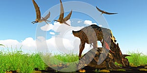 Albertosaurus attacks Albertaceratops