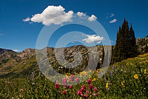 Albion Basin