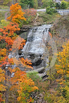 Albion Falls in Autumn