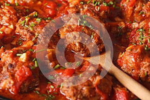 Albondigas Meatballs in sauce macro. Horizontal photo