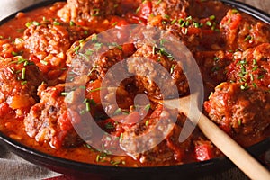 Albondigas meatballs with spicy sauce on a dish macro. horizontal