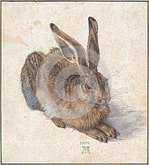 Albrecht DÃÂ¼rer, Young Hare, watercolor paint, 1502